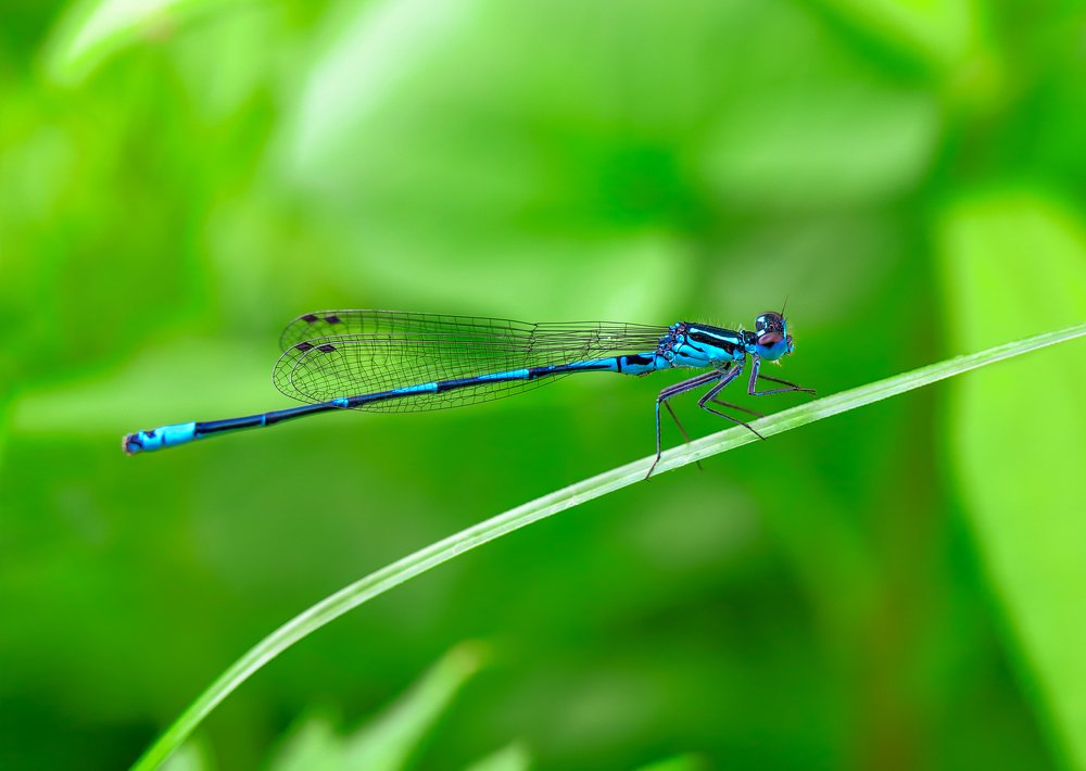 Фотография автора Dolli Pogrebnaya