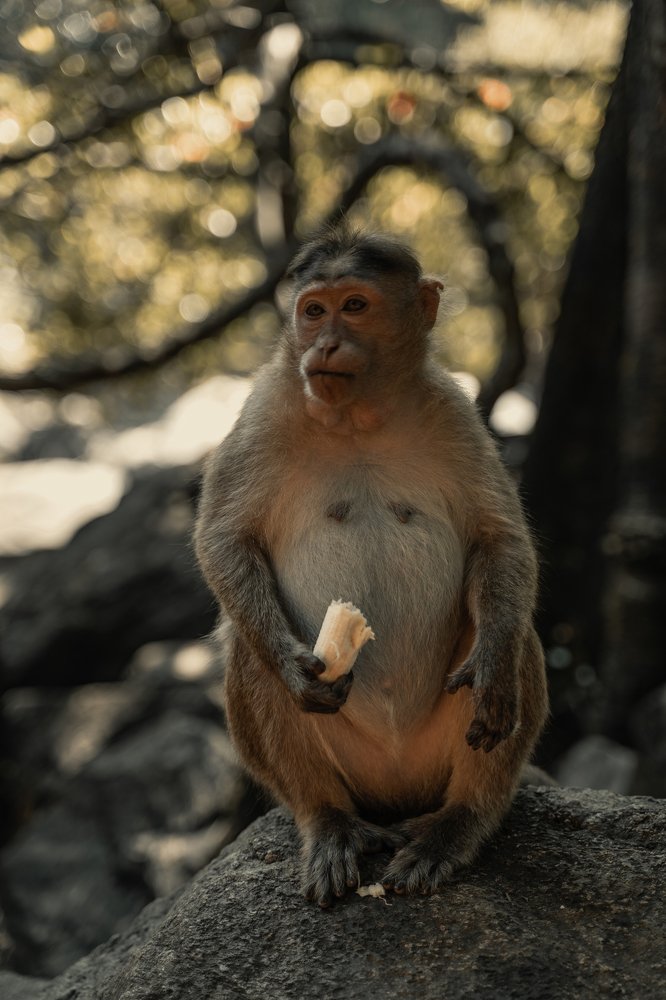 Photograph by Александра Леготина