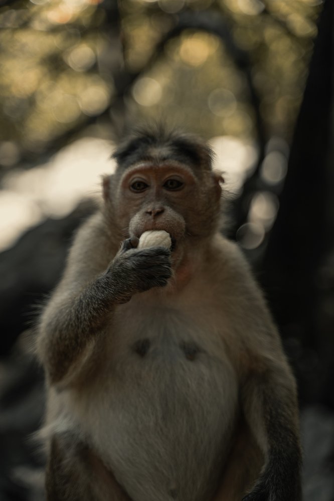 Photograph by Александра Леготина