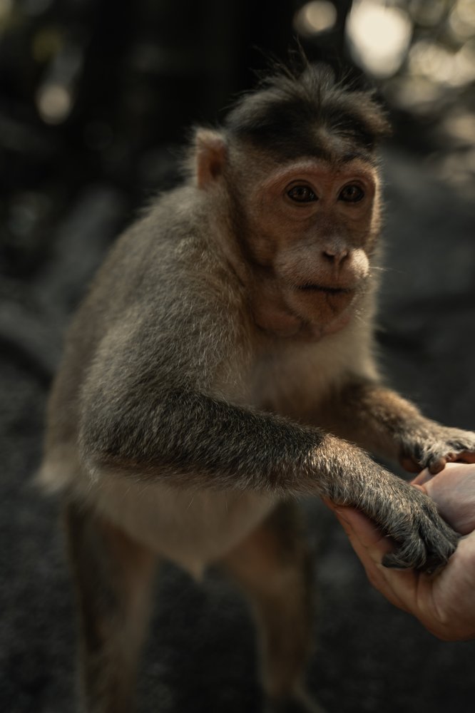 Photograph by Александра Леготина