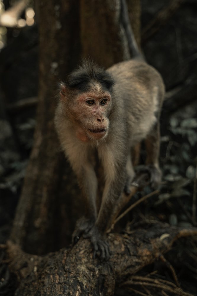 Photograph by Александра Леготина