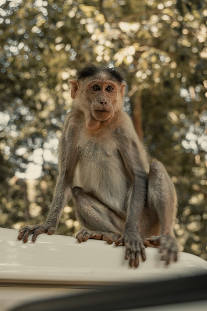 Photograph by Александра Леготина