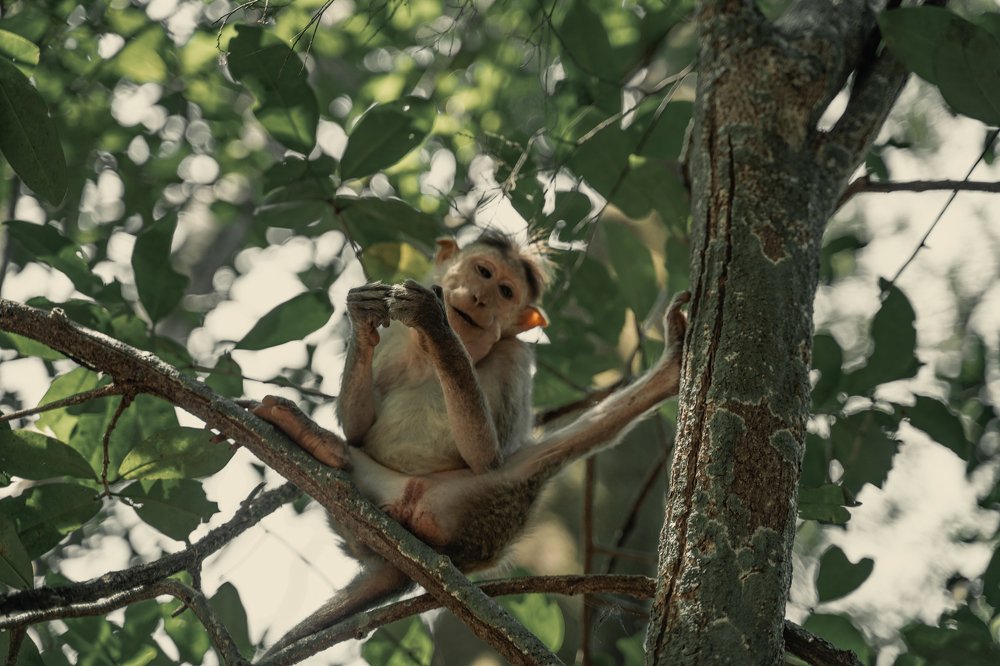 Photograph by Александра Леготина