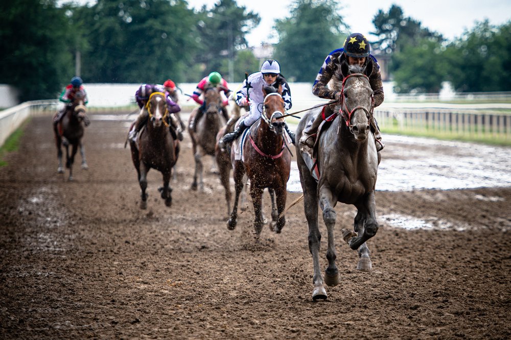 Фотография автора Игорь Чураков