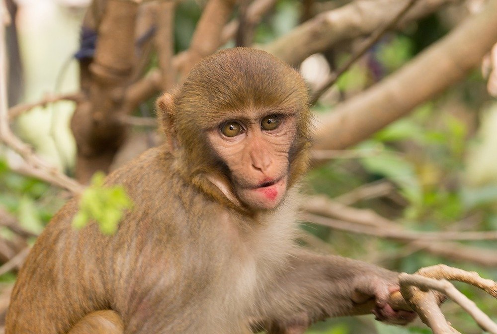 Photograph by Виктор Петров