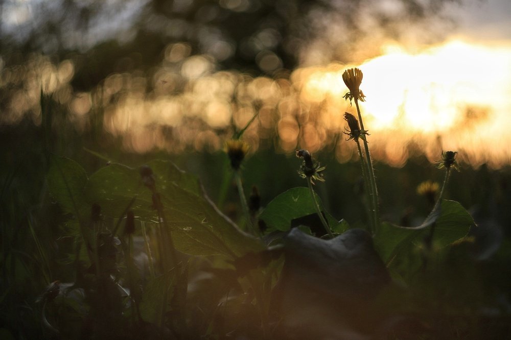 Photograph by Анастасия Павлова