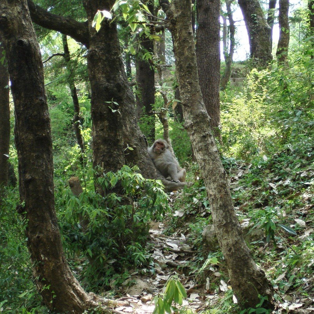 Photograph by Андрей Телибаев