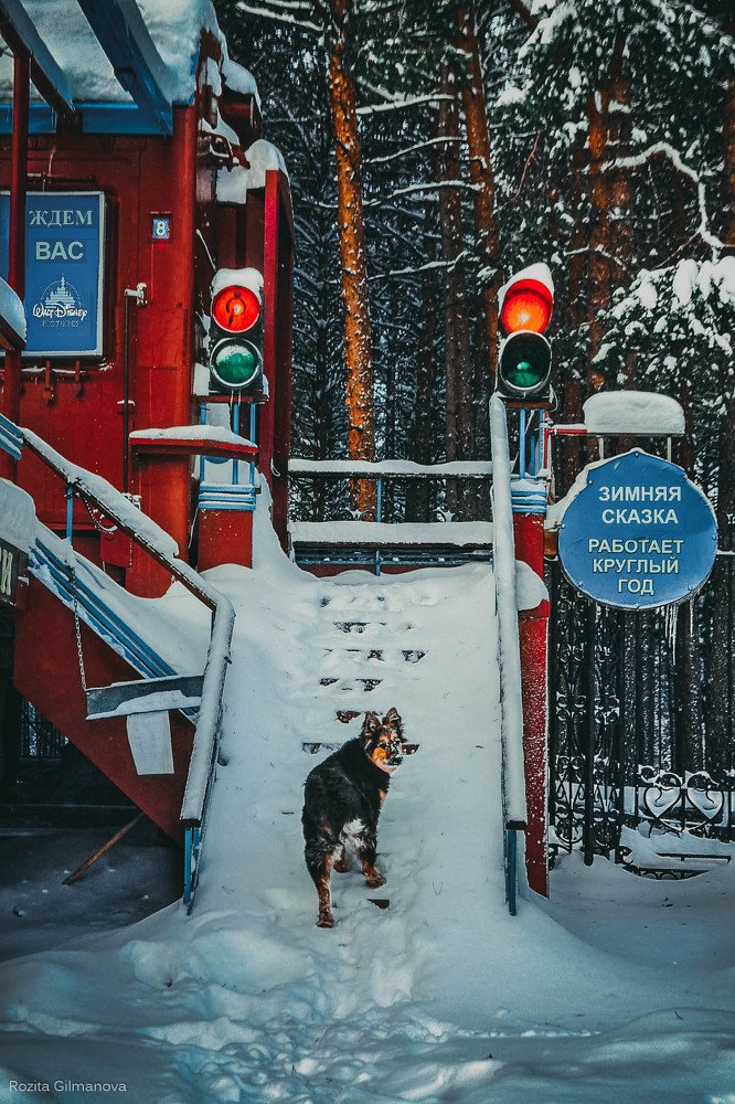 Photograph by Розита Гильманова