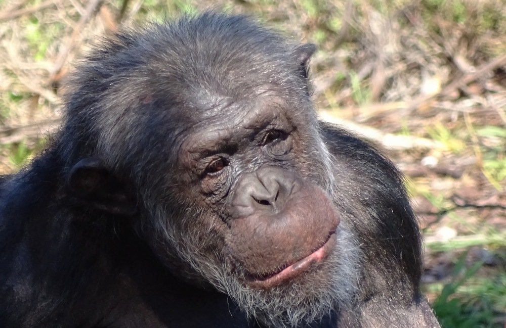 Photograph by Vladislav Kutepov