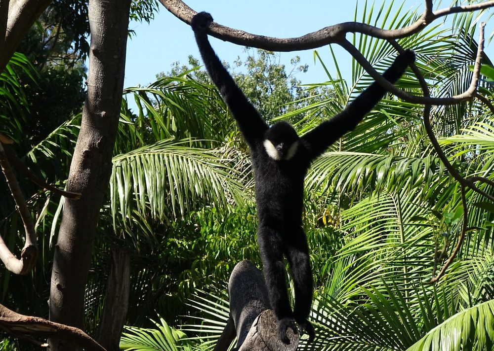 Photograph by Vladislav Kutepov