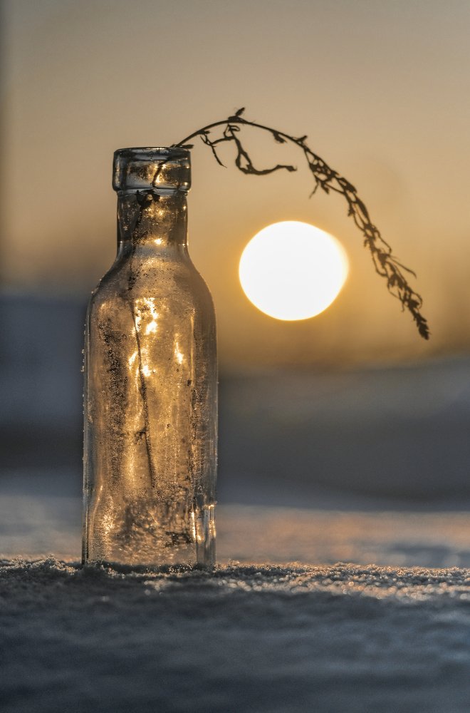 Фотография автора Максим