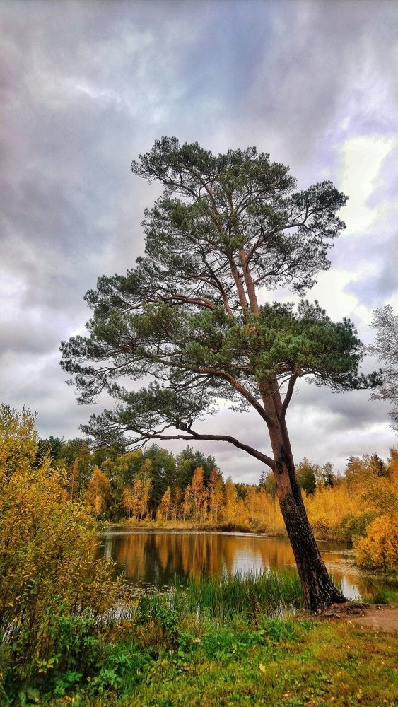 Photograph by Анастасия Павлова