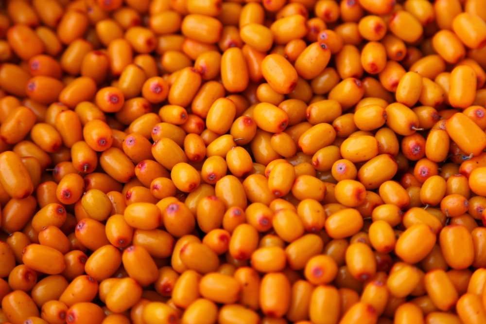 Photograph by Александр Лапшин