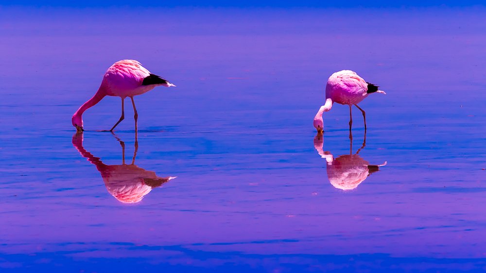 Photograph by Ulises Neder