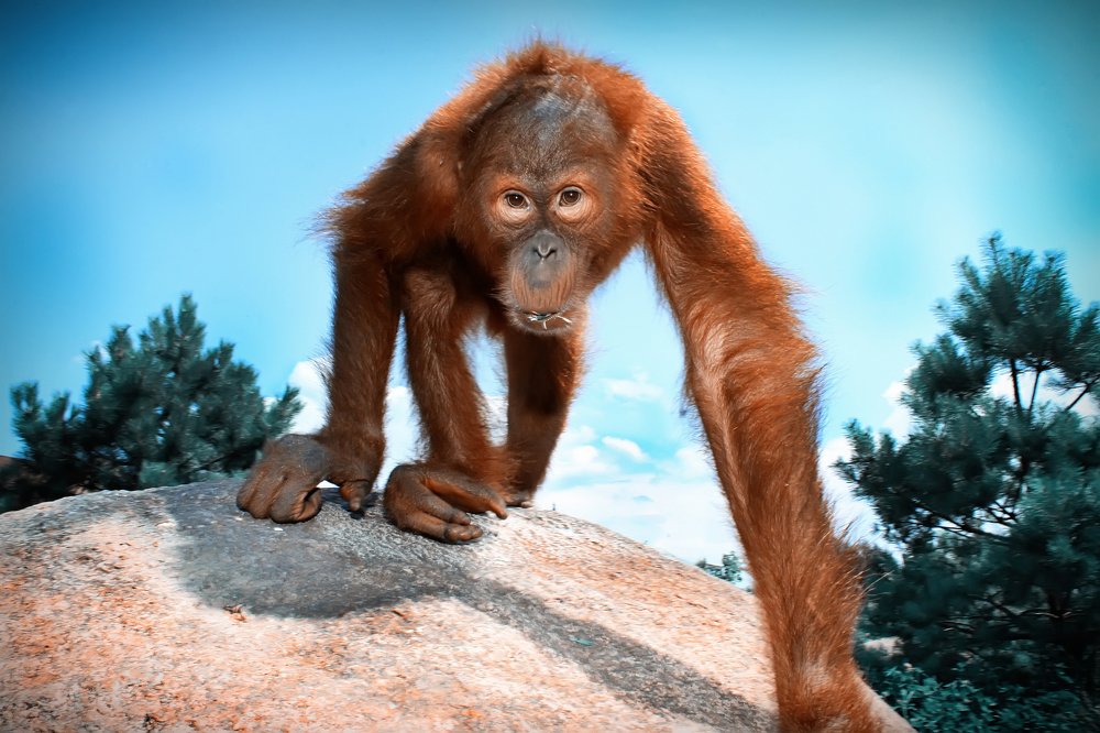 Photograph by Владимир Зорькин