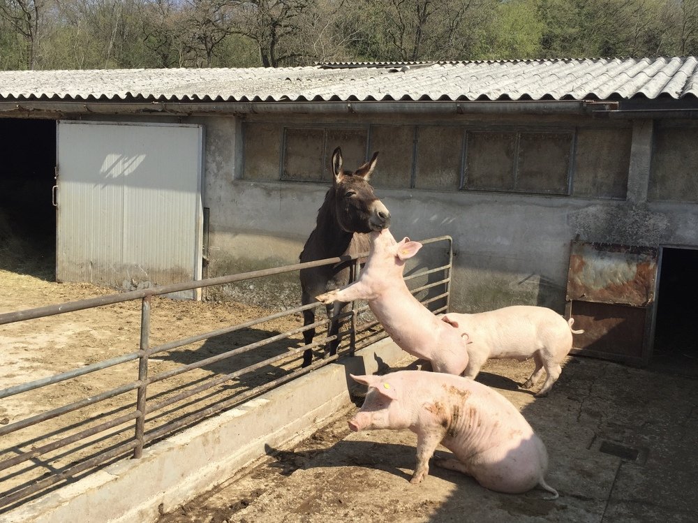 Photograph by Liudmila Solopova