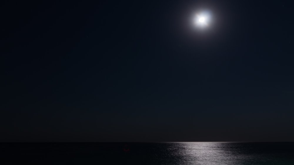 Photograph by Алексей Булгаков