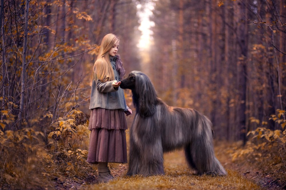 Photograph by Медведева Татьяна