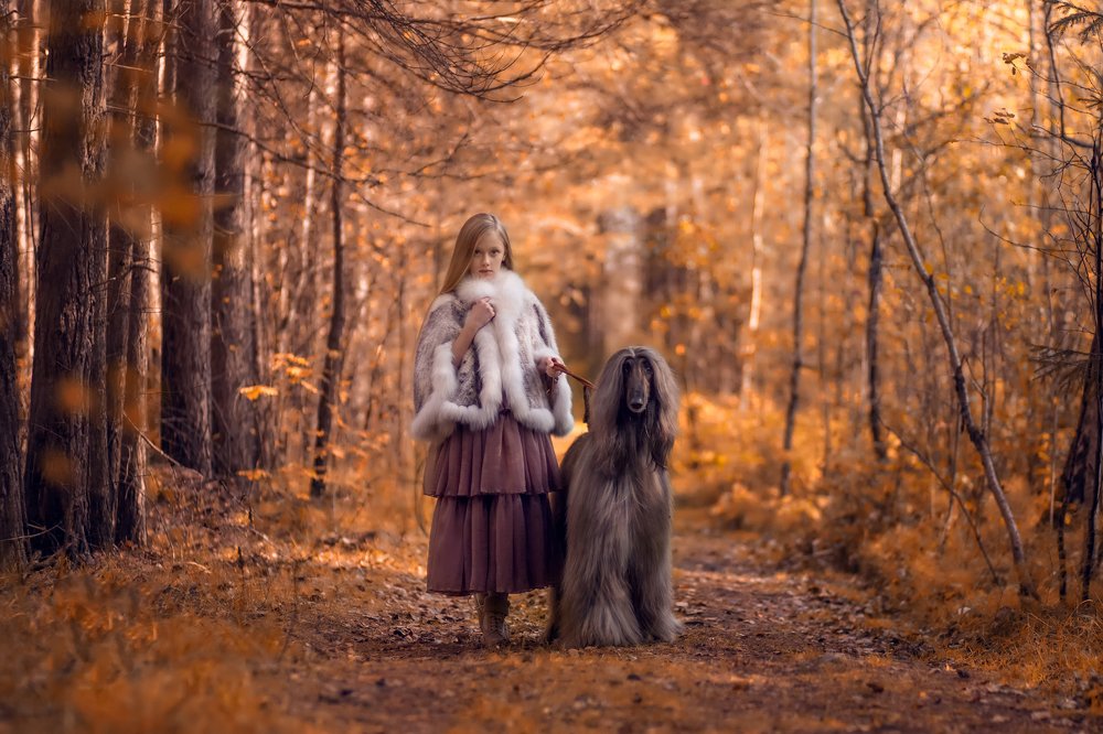 Photograph by Медведева Татьяна