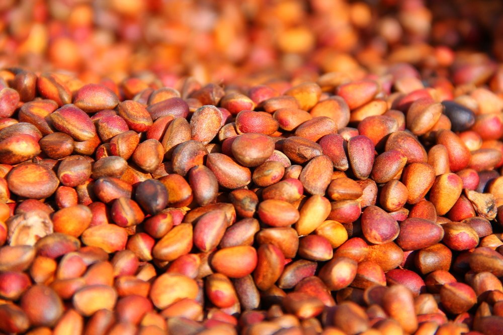 Photograph by Александр Лапшин