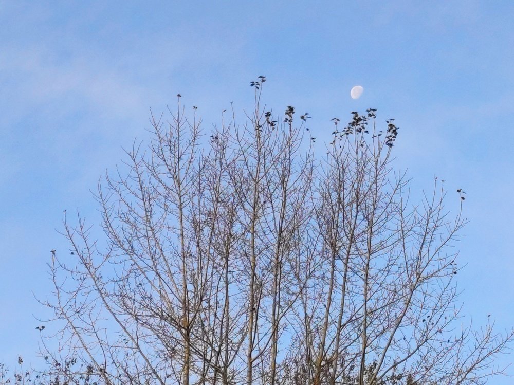 Photograph by Денис Пономарёв