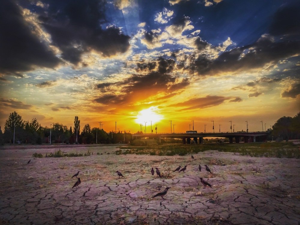 Photograph by  sajad