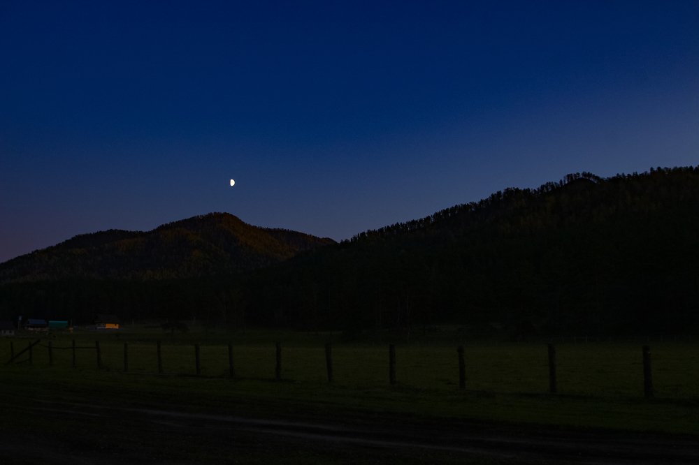 Photograph by Елена Баландина