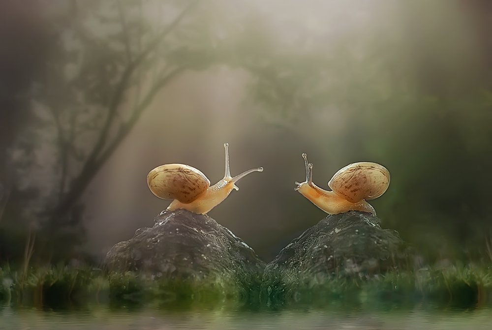 Photograph by Yan Hidayat