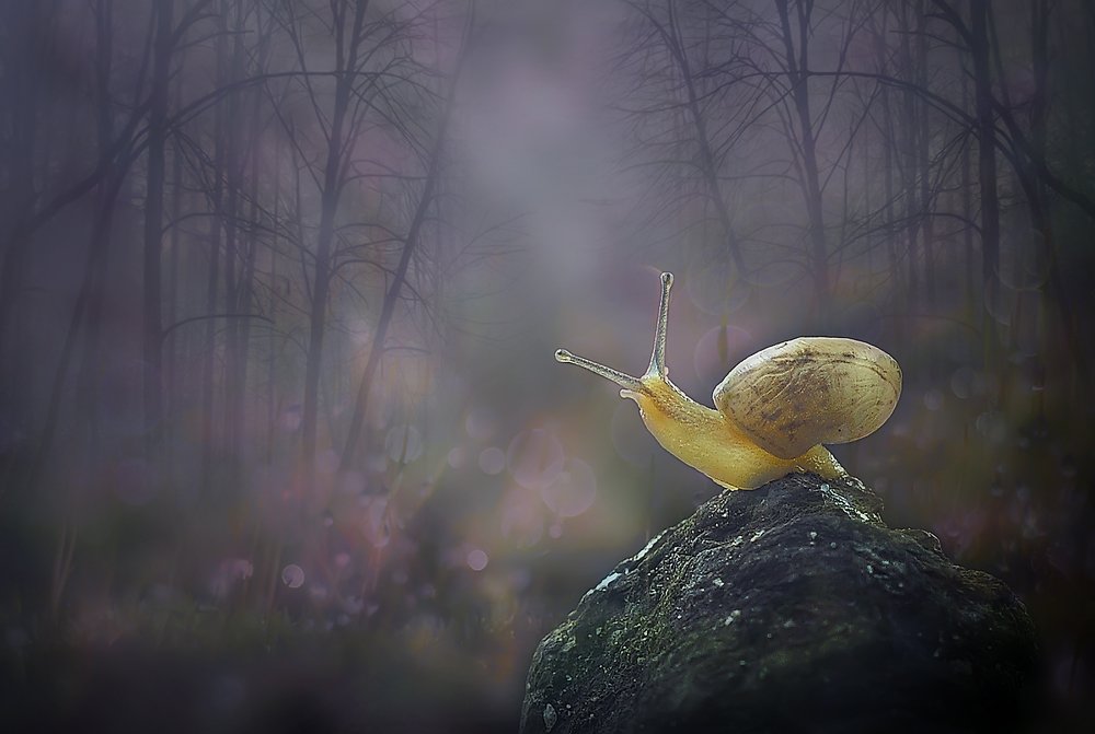 Photograph by Yan Hidayat