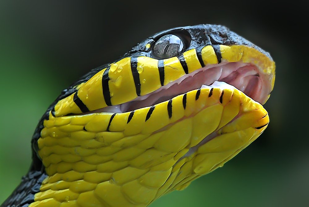 Photograph by Yan Hidayat