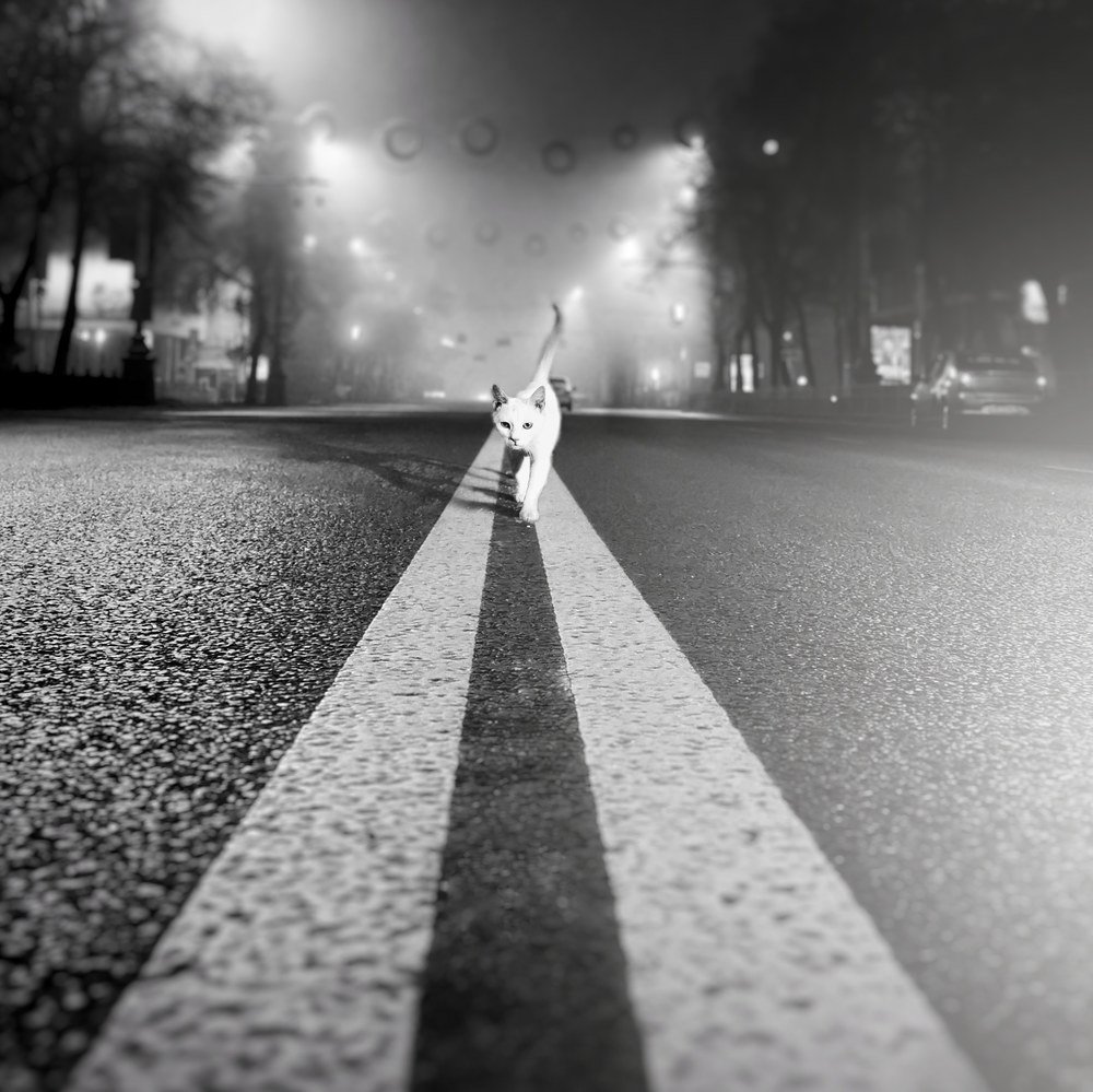 Photograph by Ксения Козлова