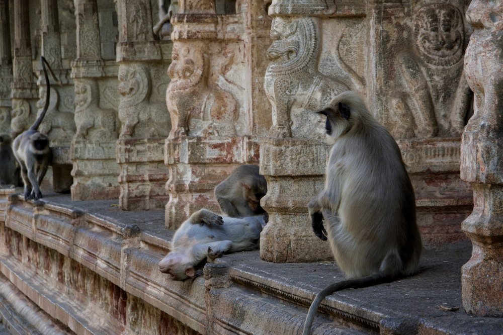 Photograph by cartoon62