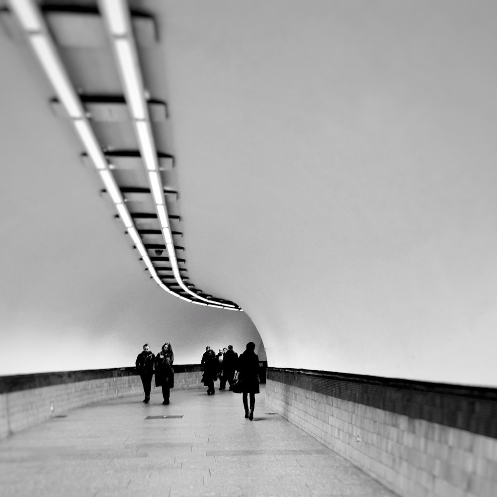 where does the prospect lead