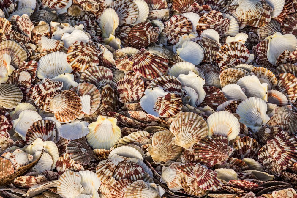 Photograph by Александр Лапшин