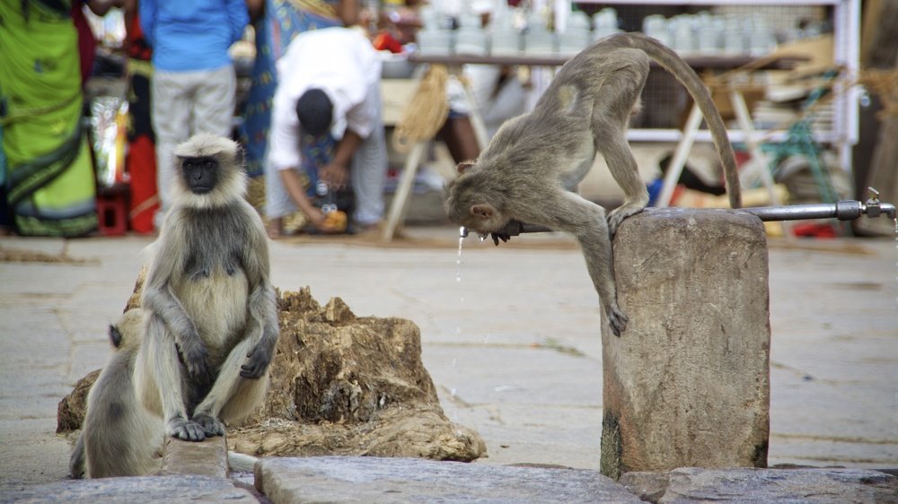 Photograph by cartoon62