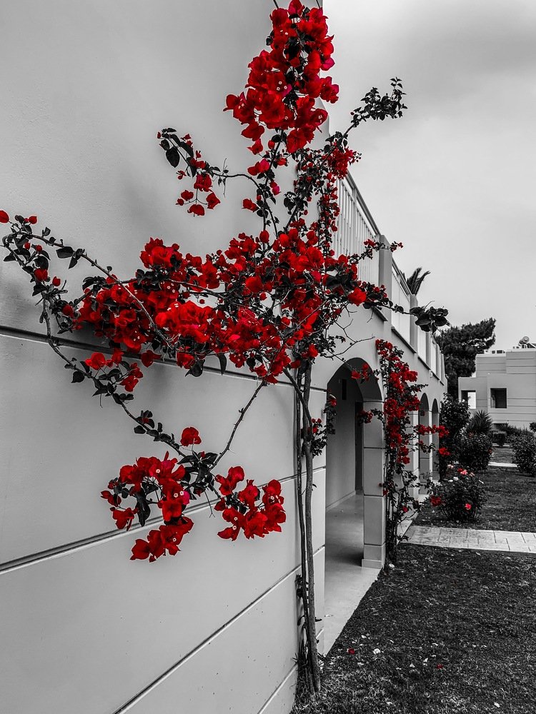 Греческие домики