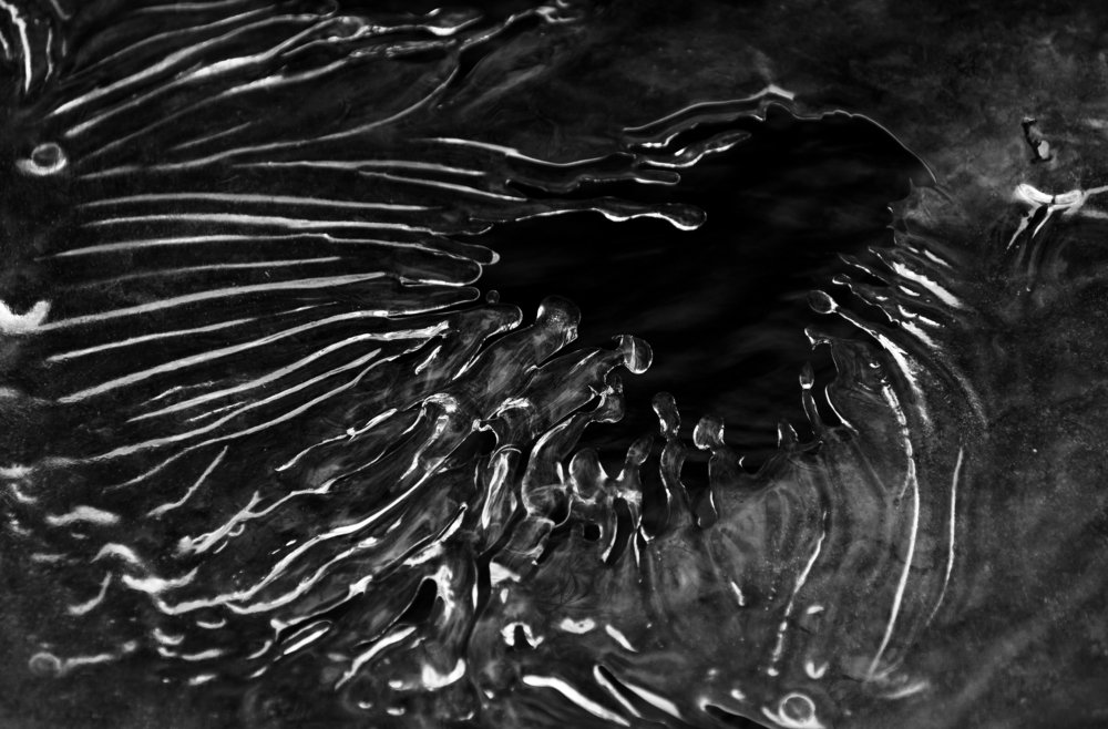 Photograph by Евгений Гецев