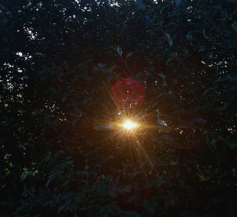 Photograph by Ольга Стариченко