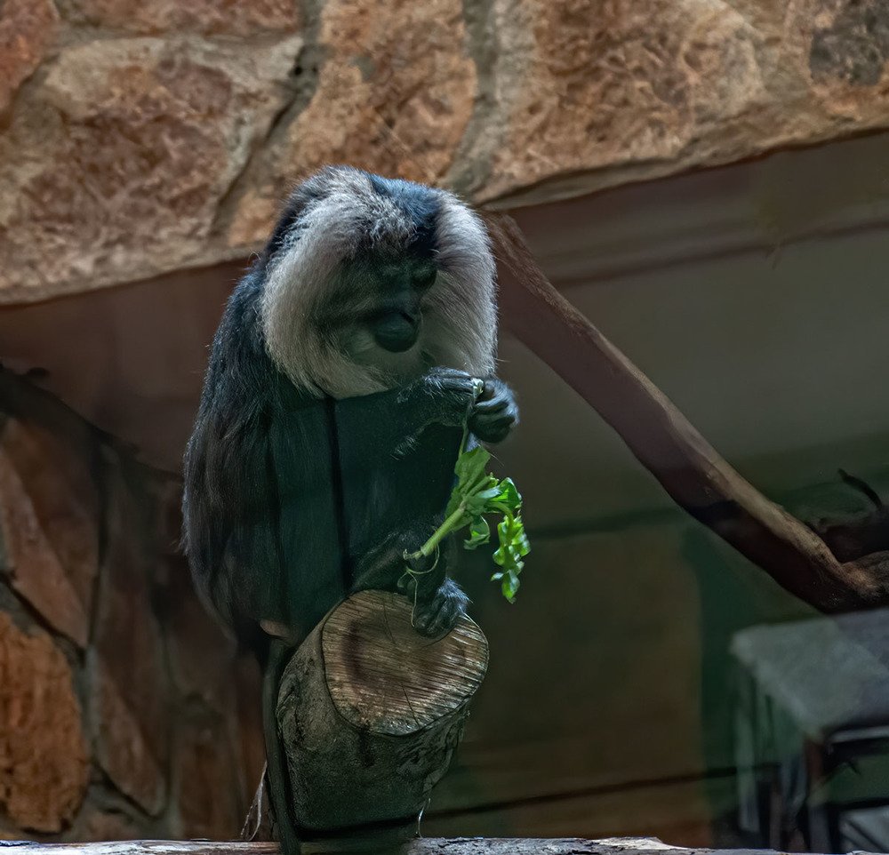 Photograph by Vladimir  Komarov