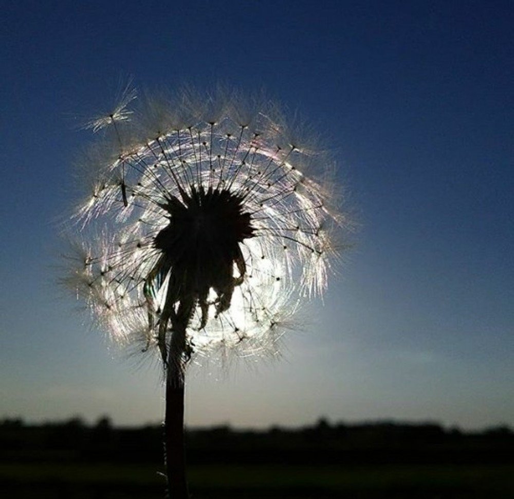 Photograph by Ольга Стариченко
