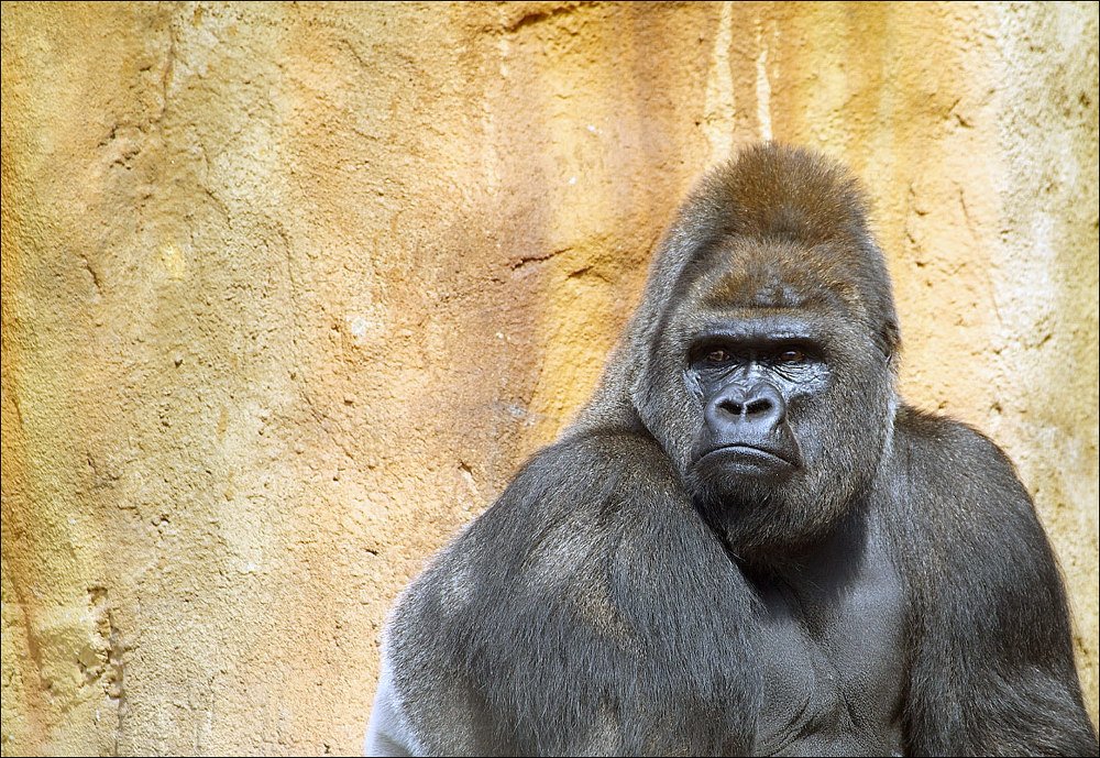 Photograph by Валерий Зарайсько