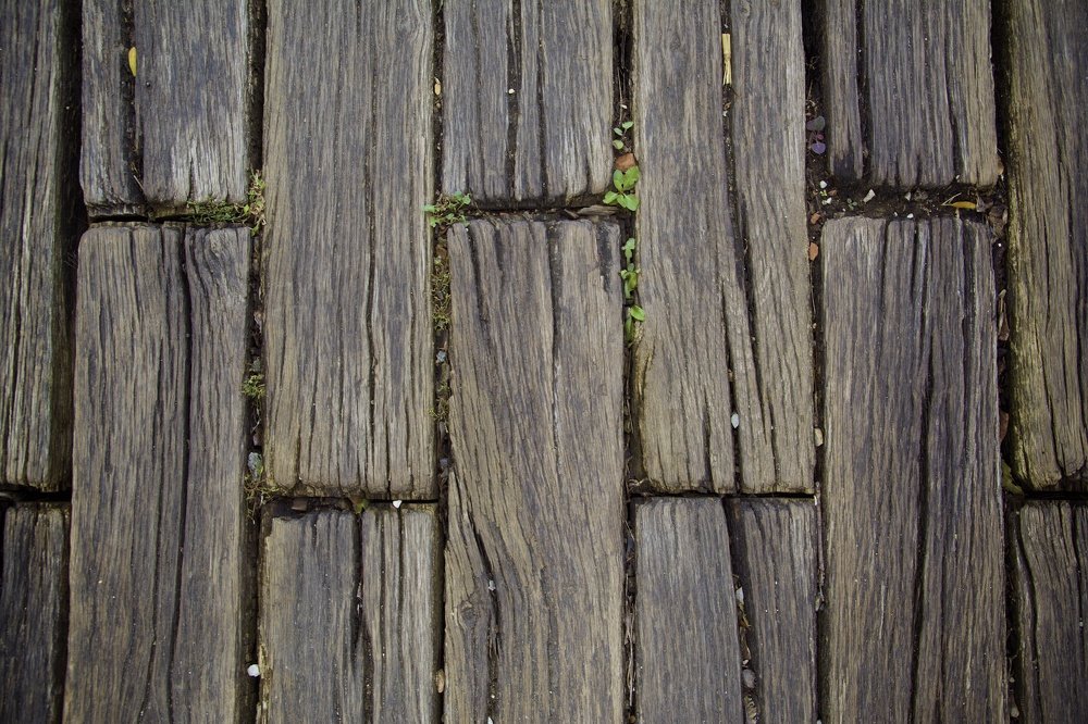 Photograph by cartoon62