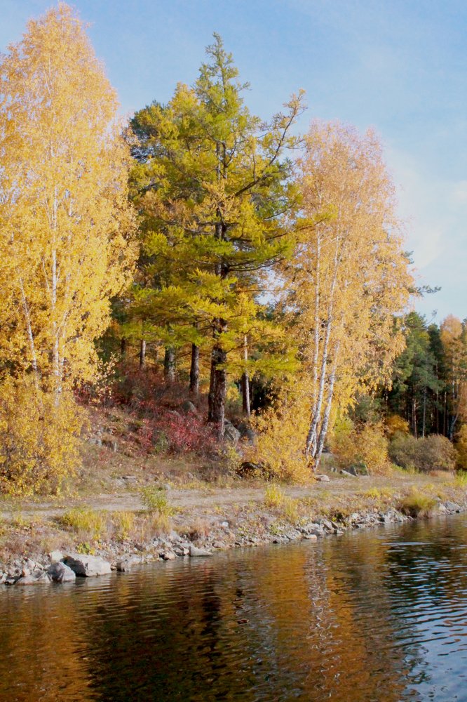 Яркий луч осенней трели