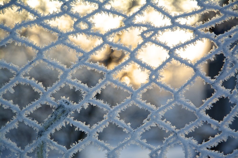 Photograph by cartoon62