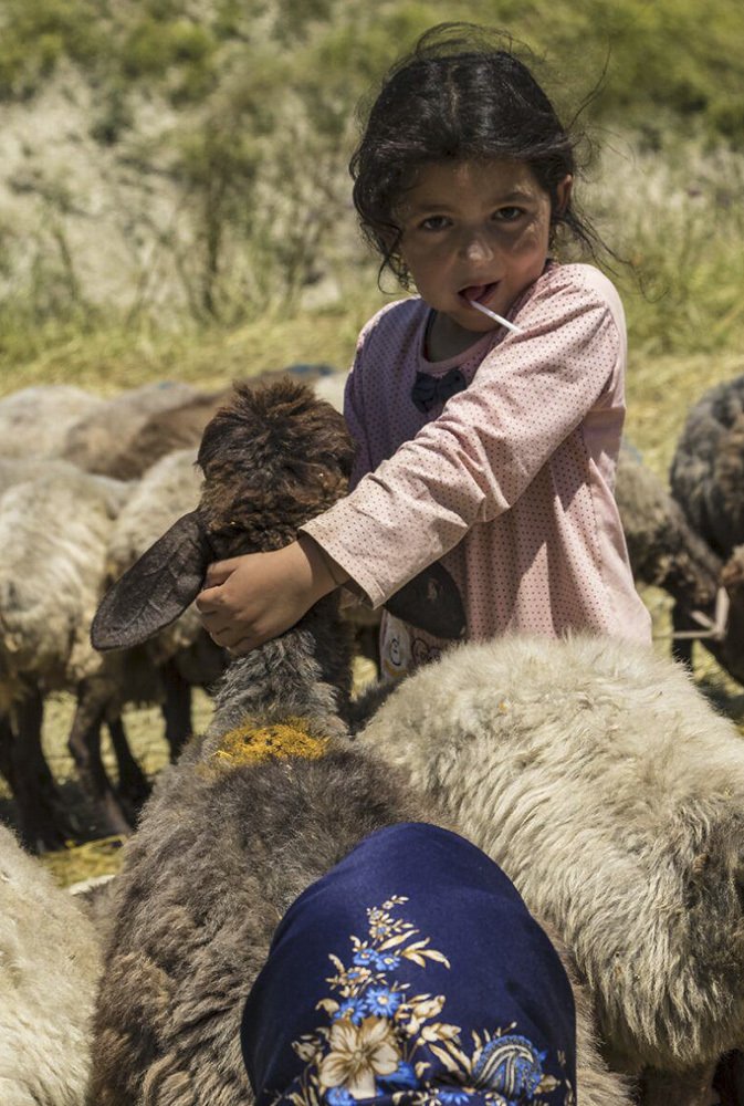 Photograph by elham erfanian