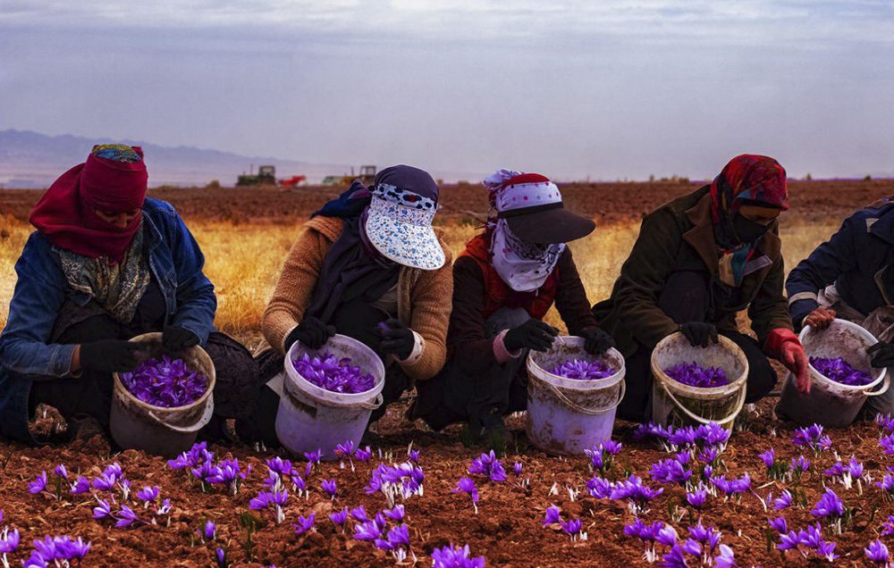 Photograph by elham erfanian