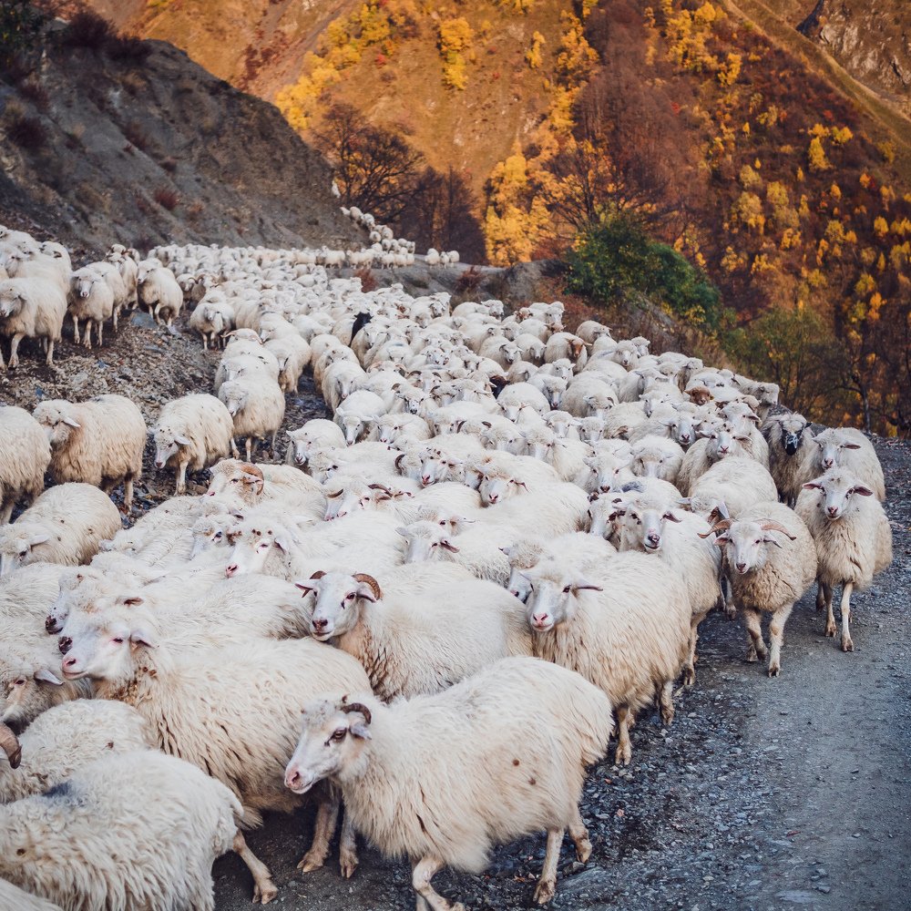 Фотография автора Tony Ivanz