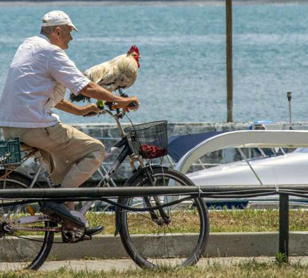 Photograph by vladimir khukhunalshvili