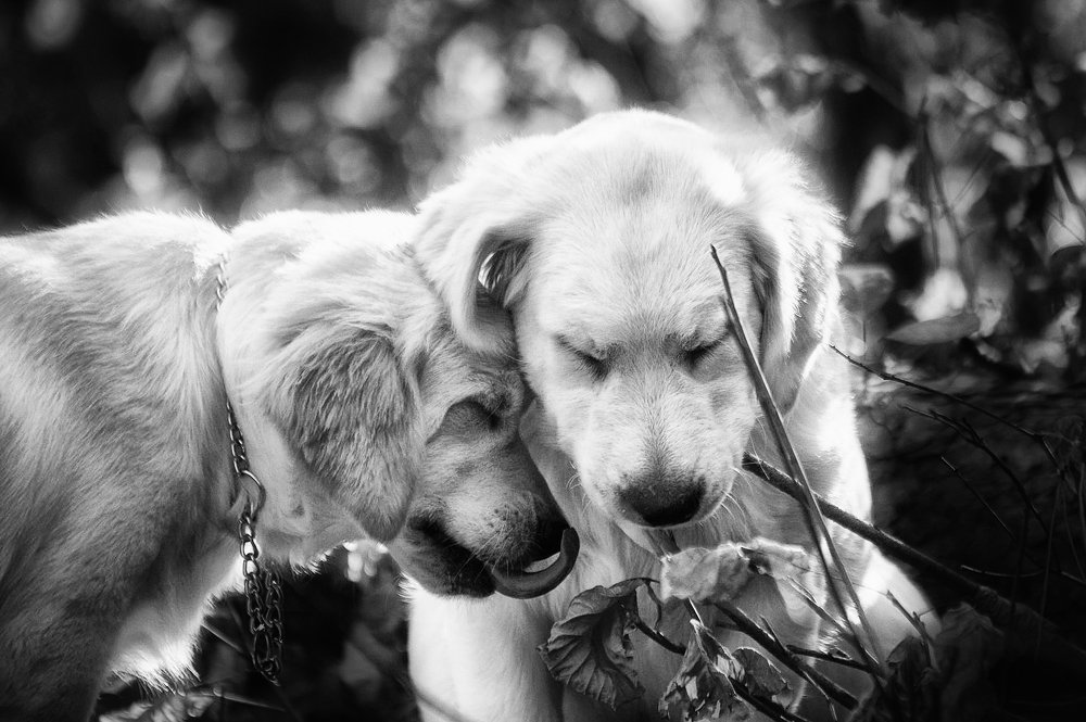 Photograph by Ирина Корх