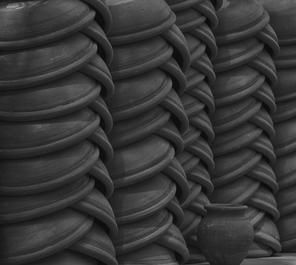 Photograph by Manjri Saxena